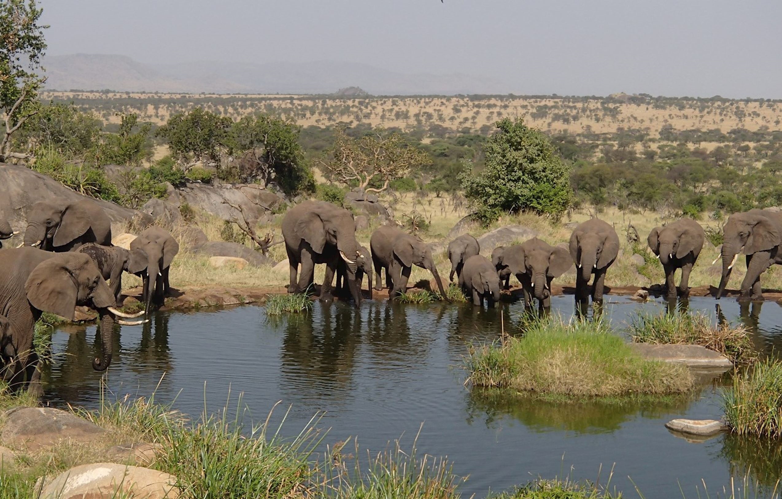 2 DAYS:  TARANGIRE & NGORONGORO CRATER