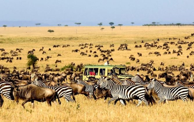 6  DAYS LAKE MANYARA, SERENGETI , NGORONGORO & TARANGIRE