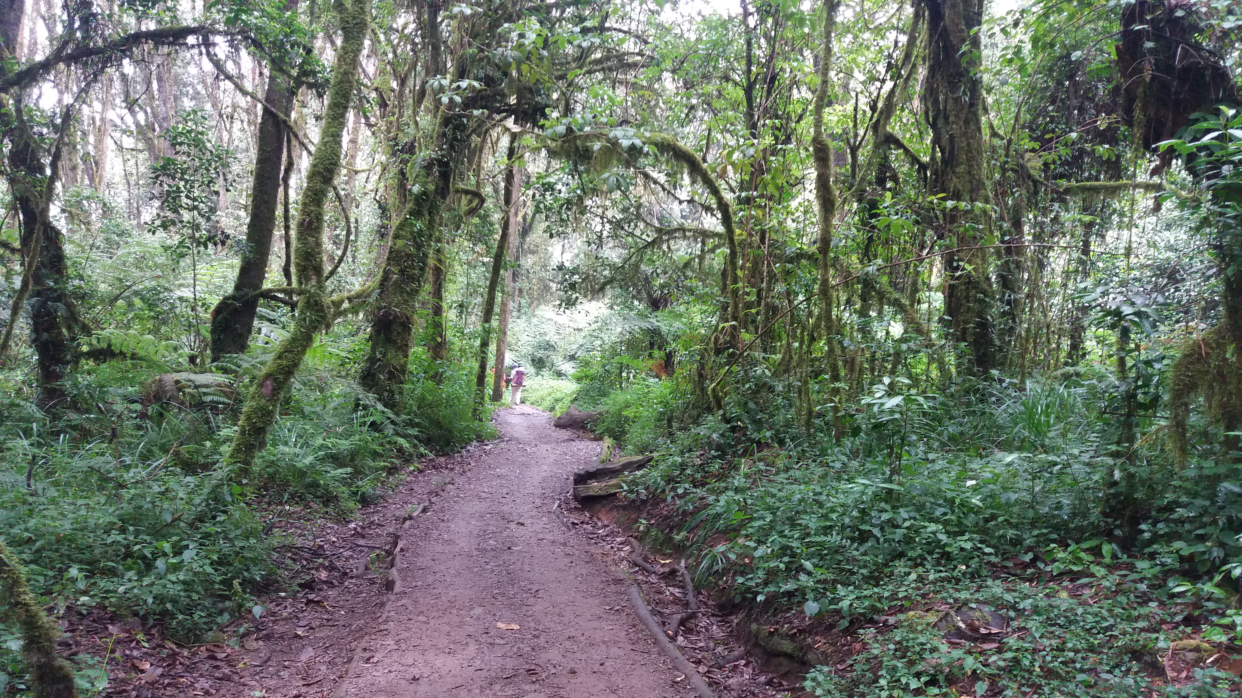 KILIMANJARO ZONES