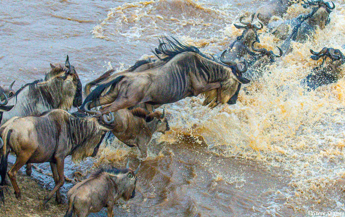 4  DAYS TARANGIRE, SERENGETI & NGORONGORO CRATER