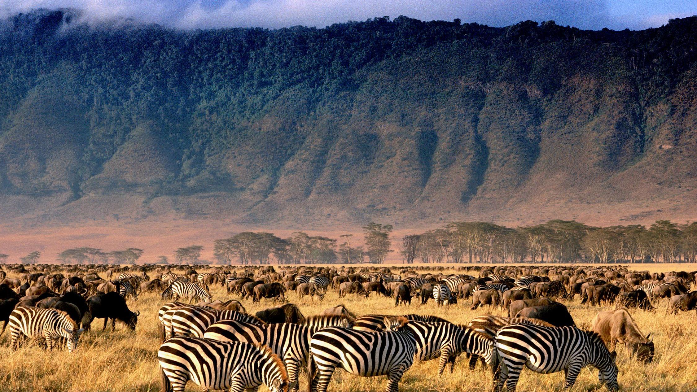 4 days tanzania safari