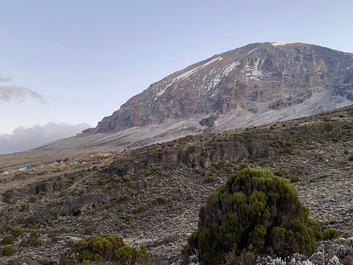 Northern circuit kilimanjaro