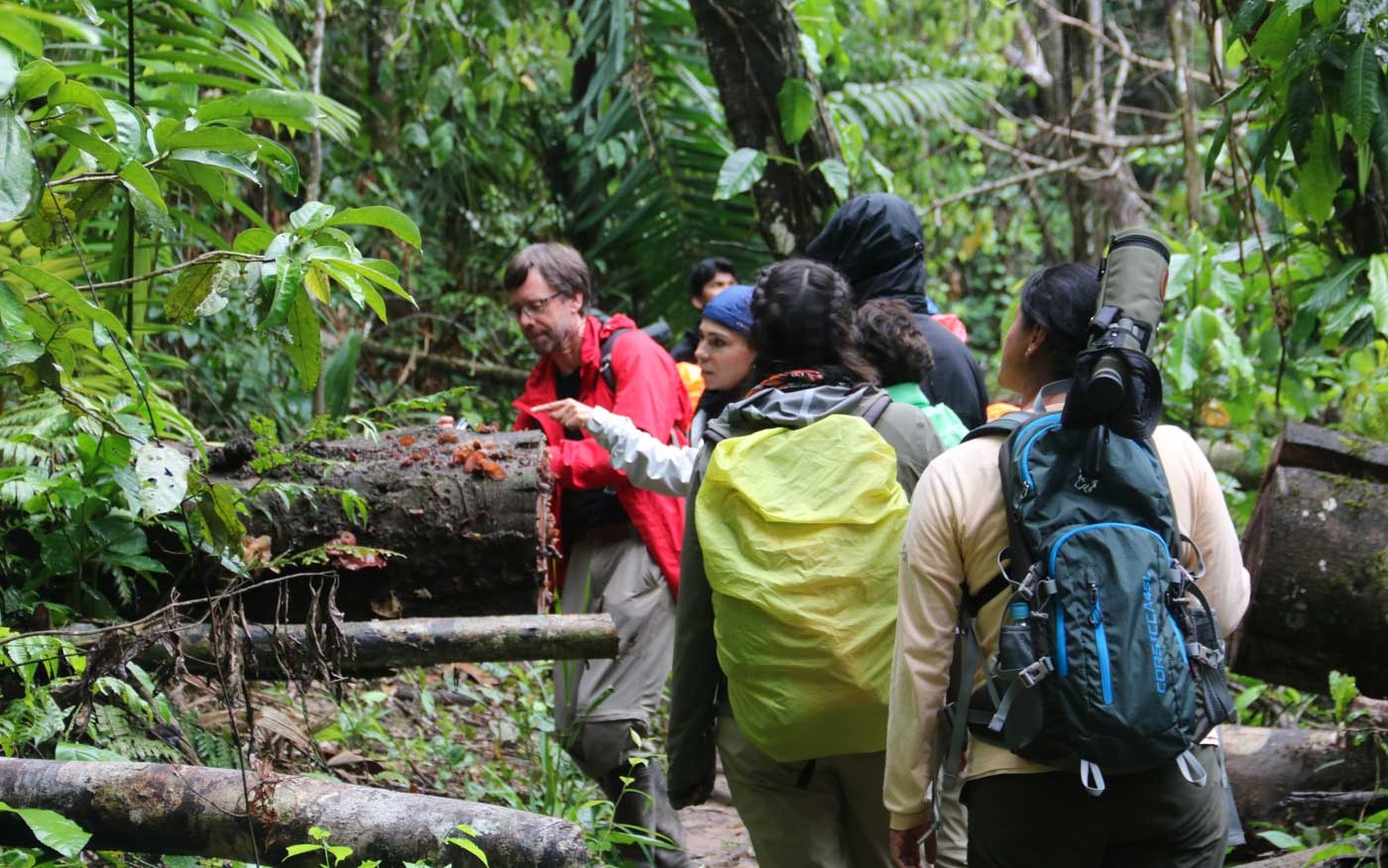 kilimanjaro 7 days machame